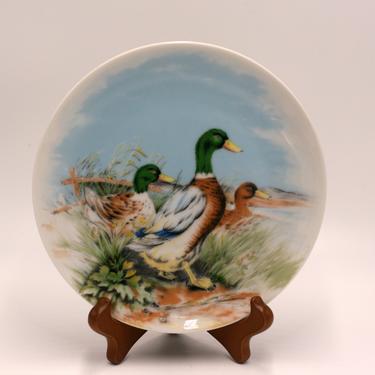 vintage Mallard Duck collectible plate/made in Japan 