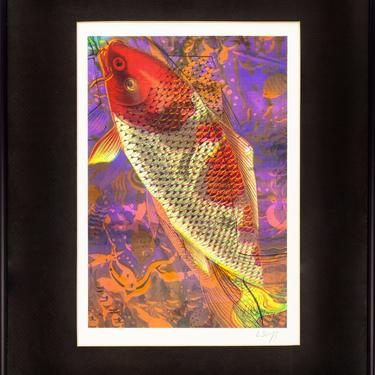 Koi Fish Print 1991 Framed & Signed 