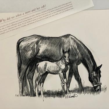 Set of 4 Vintage gravure animal prints Horse & foal • elephant • dog • cheetah prints / 1950s Pharmaceutical ad gift for dentist 
