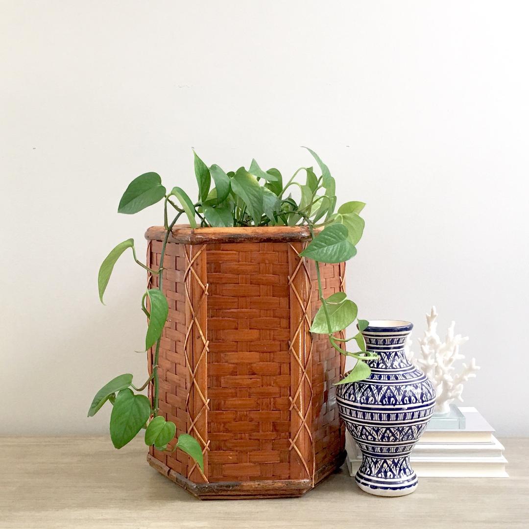 Woven Rattan Plant Stand Bentwood Trim Indoor Boho Plant Holder Mod