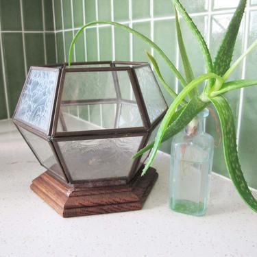 Vintage Glass Terrarium - 70s Metal Glass Paned Plant Terrarium Small - Hexagonal Glass Vase - Air Plant Holder - Plant Lover Gift Boho Home 
