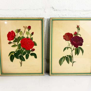 Vintage Framed Floral Prints Pair Set Rose Wood Red Lithograph Litho 1940s 40s Bohemian Flowers Flower Roses Boho Hippie Gallery Wall Art 