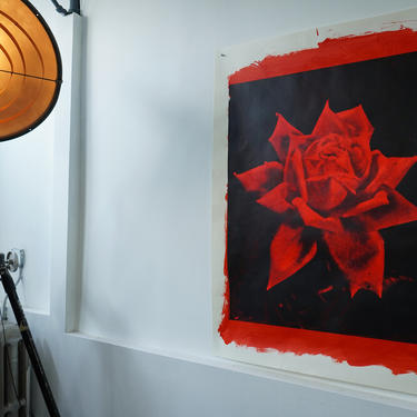 Large Red Rose Acrylic on Drawing Paper (signed)
