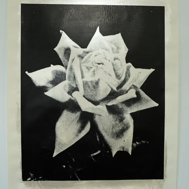 Large Silver Rose Acrylic on Drawing Paper (signed) (Copy)