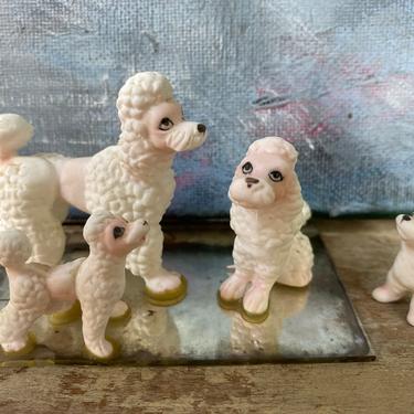 Vintage Poodle Figurines, Family Of 4 Bone China White Poodles, Made In Japan 