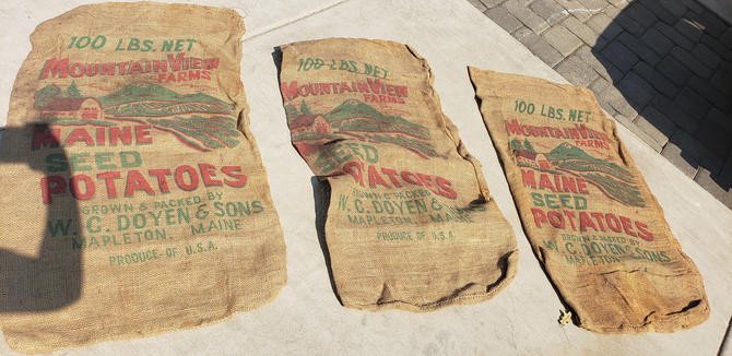 Vintage burlap potato discount sacks