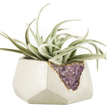 Geode Crystal Planter | Succulent Planter | Purple Planter | Raw Amethyst 