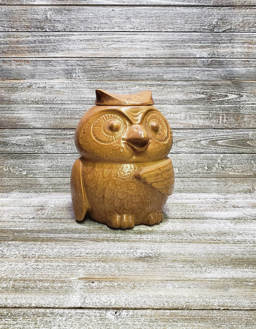 Vintage, Accents, Vintage Owl Midcentury Modern Cookie Jar Ceramic 97s