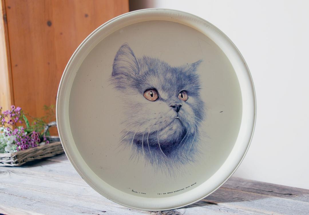 Cats Round Art Tray