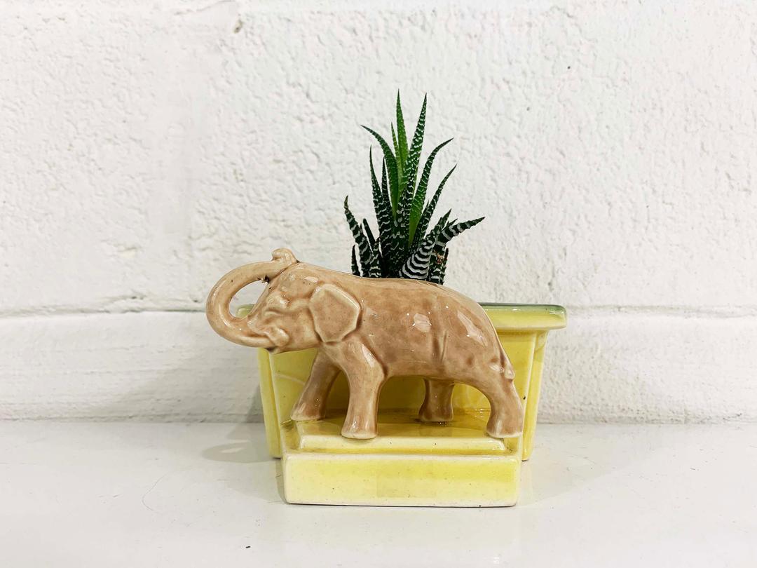 Elephant Figurines with Trunk Up: A Sign of Good Luck and Prosperity