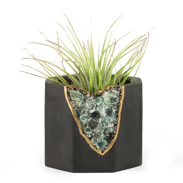 Air Plant Holder | Cement Candle Holder | Air Plant | Succulent Planter 