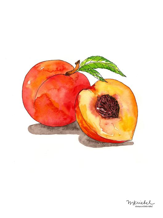 Peaches Watercolor Art Print From Marcella Kriebel Art + Illustration Of Brookland - Washington, Dc | Attic