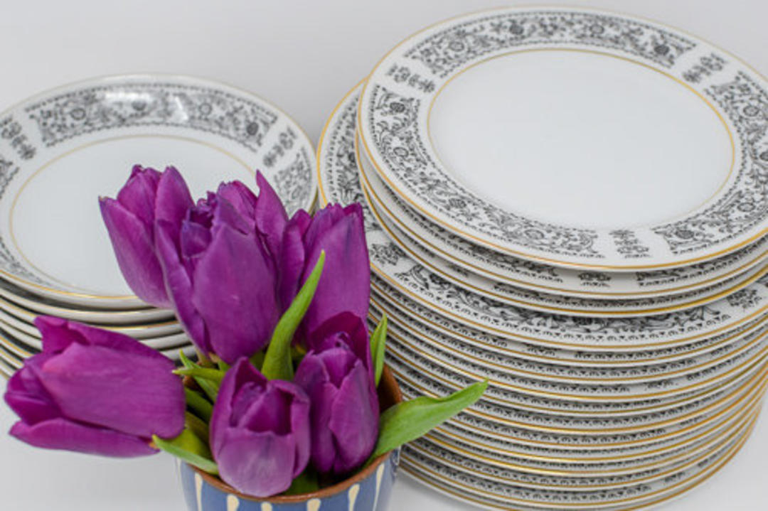 Set of Black and White Vintage Side China Plates Capitol Vintage