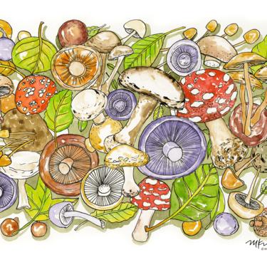 Forest Floor Mushrooms Watercolor Art Print