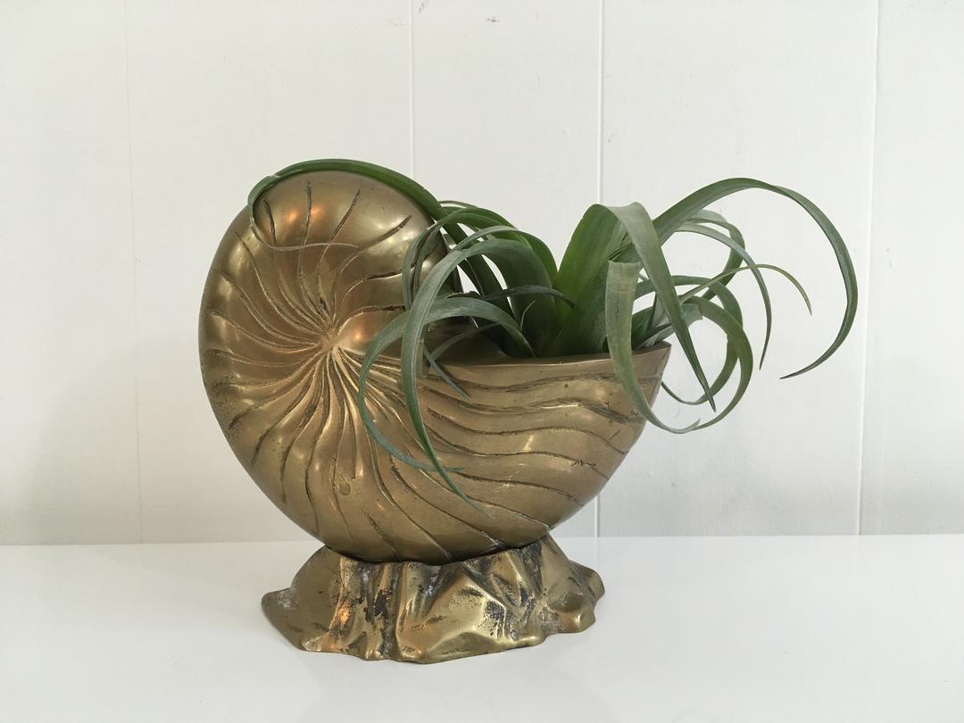Brass Nautilus Planter Basket Bowl Figurine Vintage Seashell Mid-Century  Hollywood, Check Engine Vintage