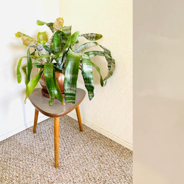 Vintage Plant Table, 50s Side Table, Mid Century Plant Stand, Vintage Planter, Space Age Tripod Table, Atomic Table, Vintage Collage Table 