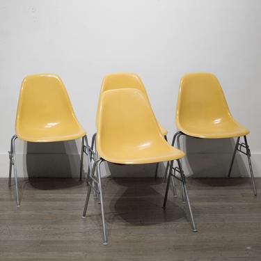 Set of Eames for Herman Miller Fiberglass Shell DSS Chairs In Parchment c.1950s