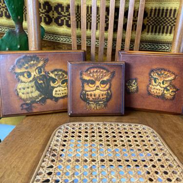 Set of 3 Vintage 1970s Decoupage Owls on Wooden Plaques 