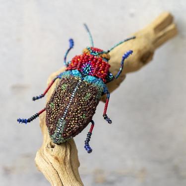 Embroidered Saliaris Beetle Pin