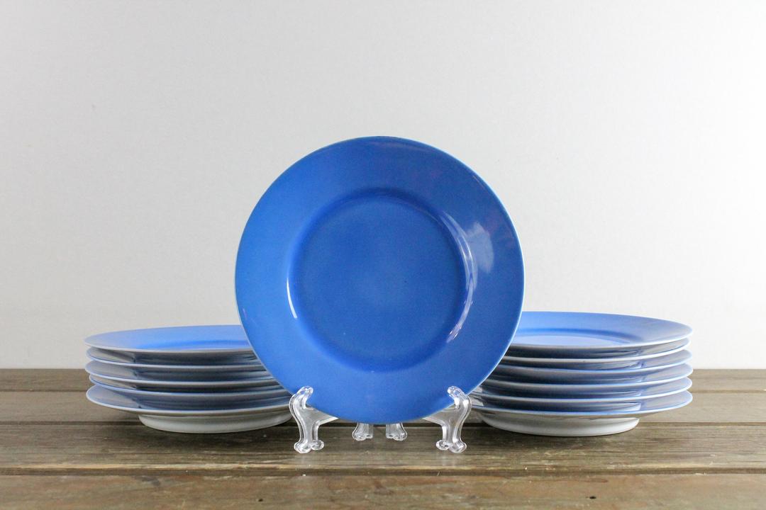 Antique Fine China Made In Germany, Solid Blue Dinnerware, 7" Archive