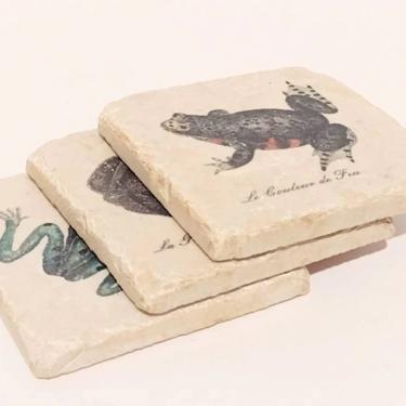 Vintage Rock Slab Amphibian Frog Print Coasters 4" 