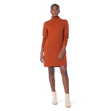 Turtleneck Sweater Dress (multiple colors)