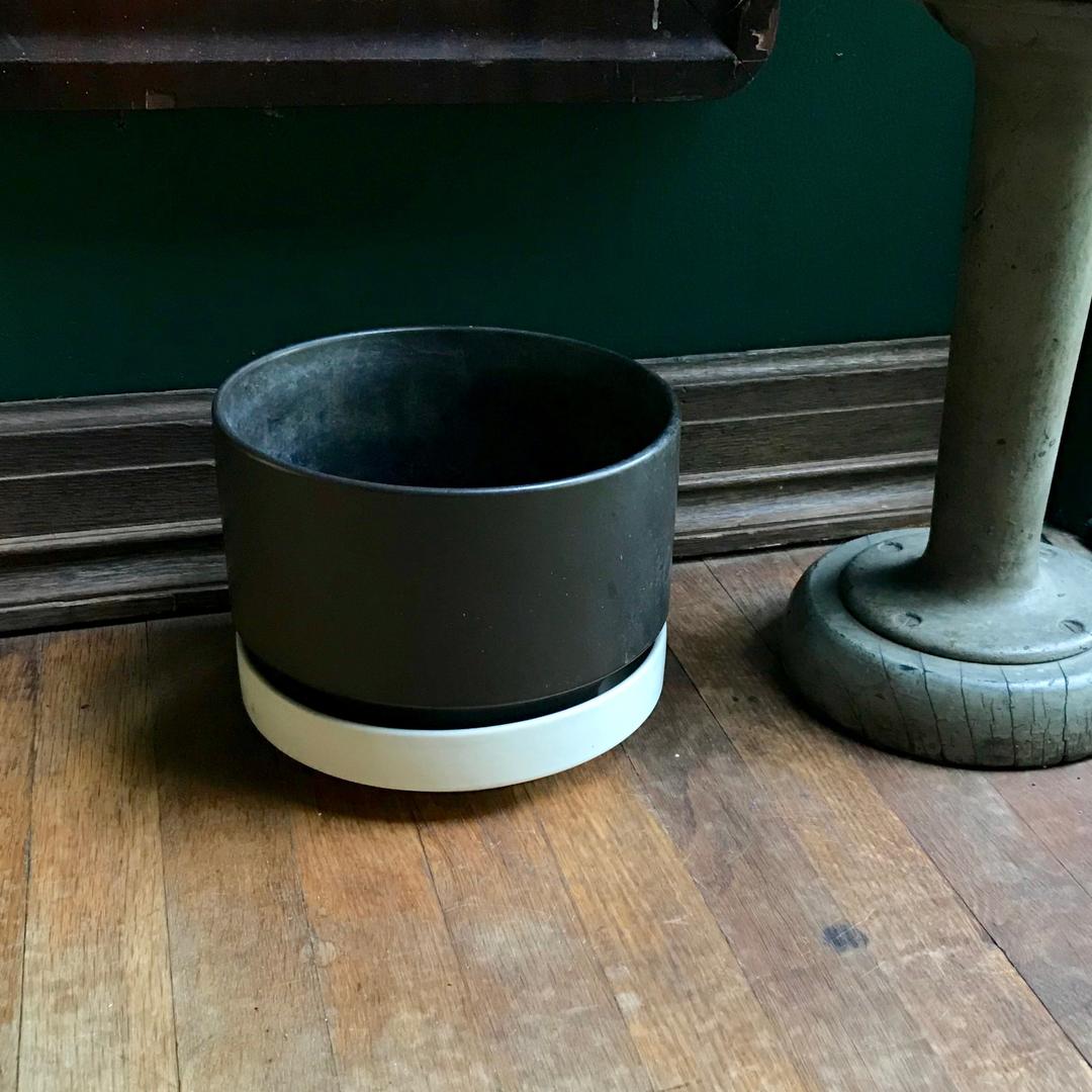 Palermo Cachepot | Pottery Barn