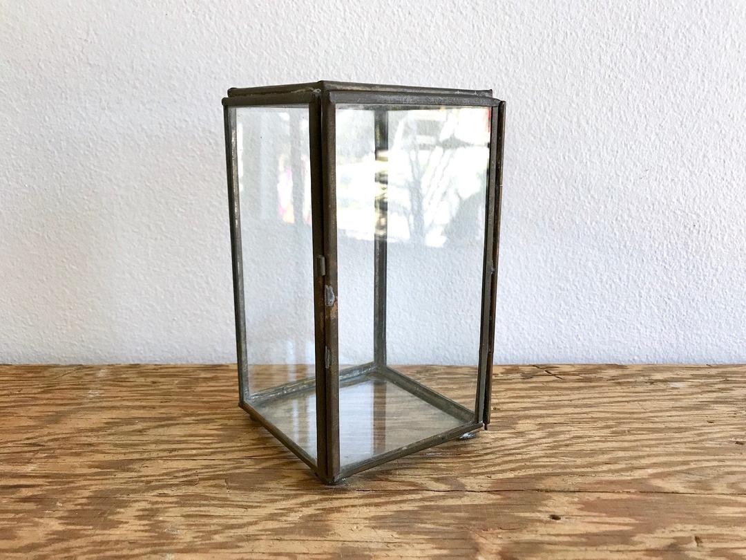 Upright Glass Box Glass Brass Curio Box Vertical Shop Rachels