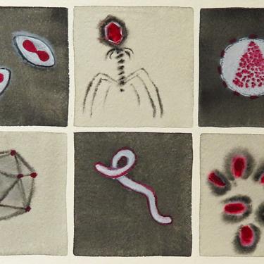 Five Foes and a Friend - original watercolor painting of viruses - microbiology 