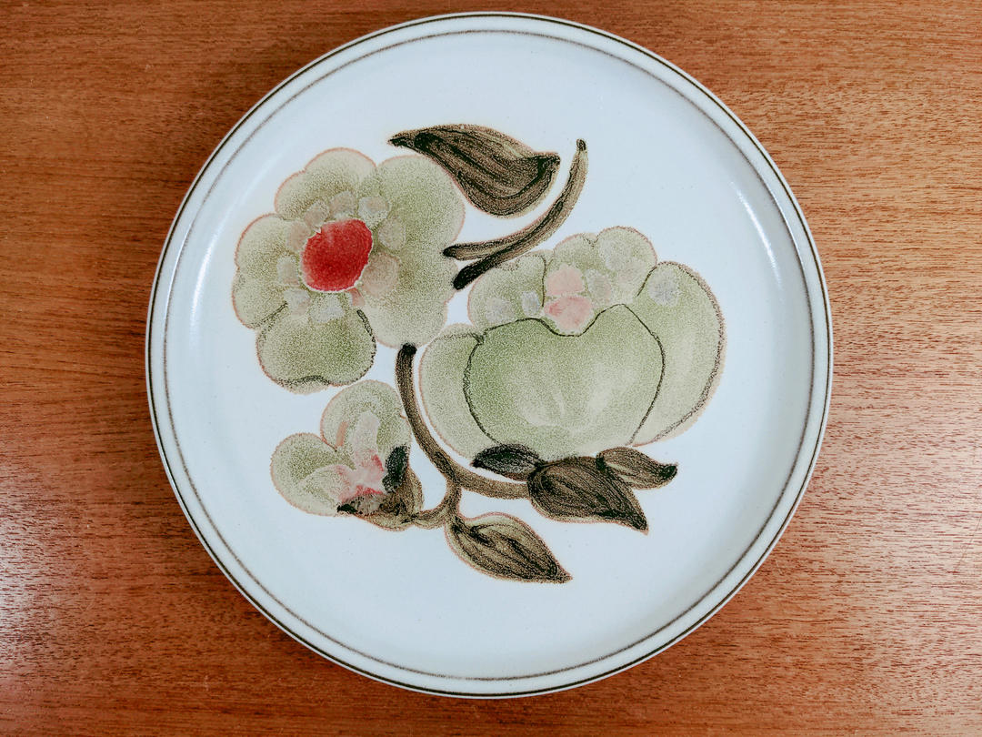 Vintage Denby Troubadour Dinner Plate(s) Hand Painted Magnolia