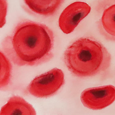 Red Blood Cells 2 - original watercolor painting of erythrocytes 