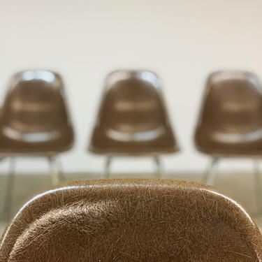 Set of 4 Herman Miller Eames DSX Seal Brown Fiberglass Chairs 