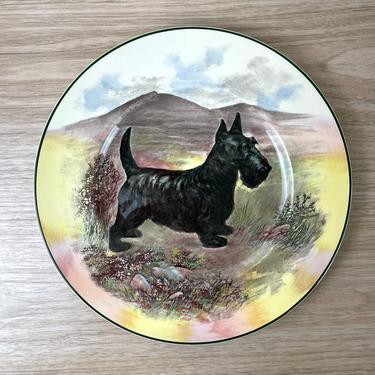 Royal Doulton scottish terrier plate - D6304 - 1940s decorative plate 