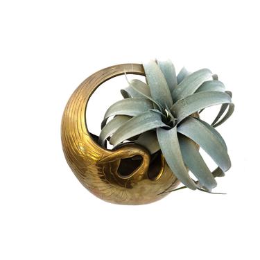 Vintage Solid Brass Ikebana Swan Moon Hanging Planter | Flower Display | Swan Incense Burner 