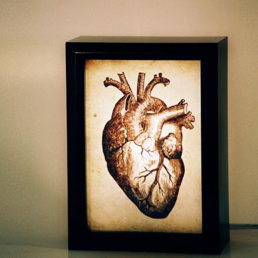 Anatomical Heart Lightbox - reserved losting - custom typeset name addition 