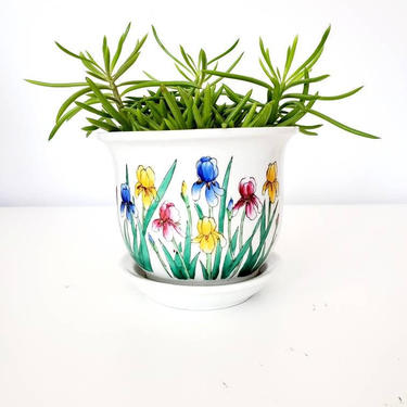 Colorful Iris Pottery Mini Planter 