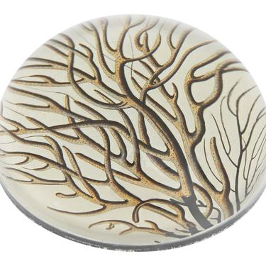 Coral Paperweight
