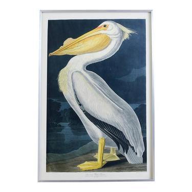 Audubon American White Pelican Plate #311 Havell Oppenheimer Edition by ErinLaneEstate
