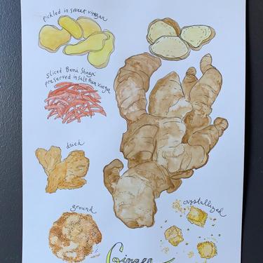Types of Ginger Original Watercolor Painting