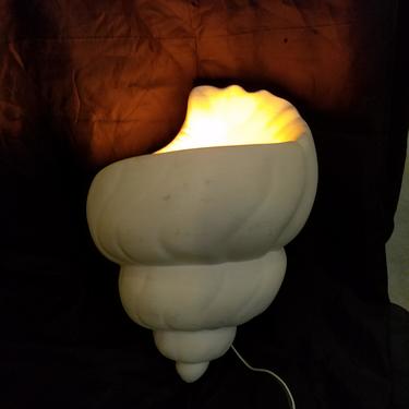 Plaster Shell Sconce14 x 9