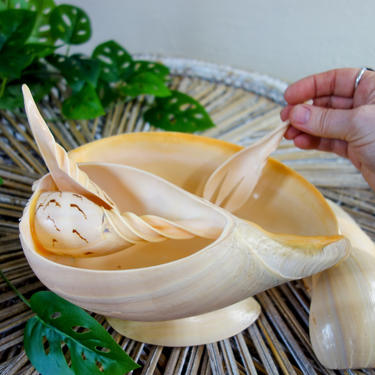 Rare real shell serving set with bowl, dishes, fork & spoon, large vintage conch shell for natural beach decor, hawaiian dining, tiki bar 