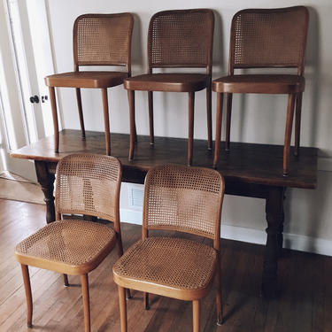 Thonet Style Bentwood Cane Chairs, cane dining chairs, bentwood dining chairs, cane dining chairs 