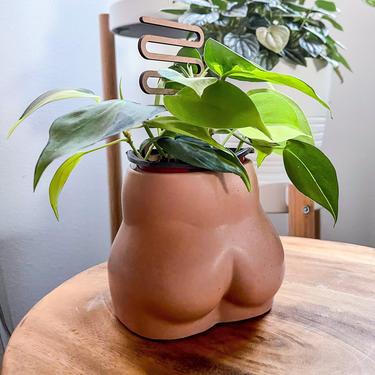 Booty Pot / Butt planter / handmade concrete pot / Indoor plant pot / Cement planter / Drainage hole included 