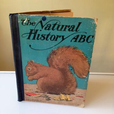 The Natural History ABC ca. 1900 Scarce Illusrated Children's Book 