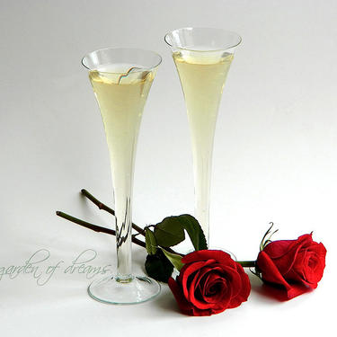 Pair of large 10&quot; champagne flutes romantic tall hollow stem glasses wedding table serving glass simple elegant glassware vase hold 6 oz 