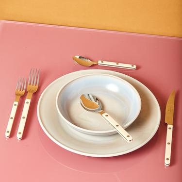 Stainless Steel Flatware in Ivory