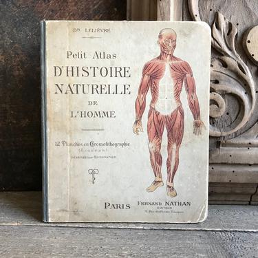 19th C French Anatomy Book, Science Anatomical Study Medical Human Body Chart, Chromolithograph Illustrations, Science Curiosity 