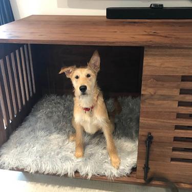 Wood dog kennel, Large dogs, Small dogs, Solid wood media kennel, Double dog kennel, Dog crate solution, Non toxic furniture 