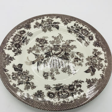 Vintage- Royal Stafford Asiatic Pheasant Brown and White Salad Plate- transferware 8 3/8&amp;quot; 