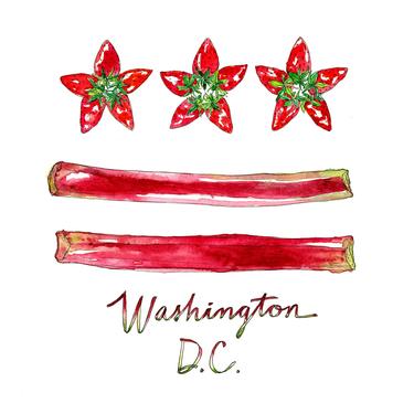 Washington, DC Strawberry and Rhubarb Flag